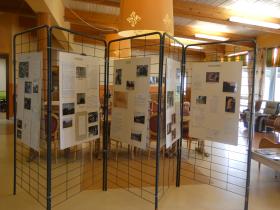 exposition sur la vologne - 02 mai 2022 (5)